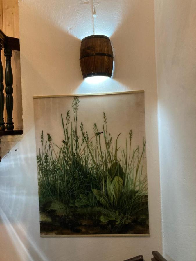 纽伦堡Zur Baumwolle公寓式酒店 外观 照片